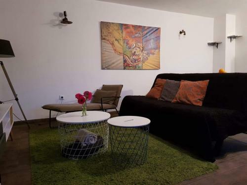 Apartamento A�oteia De Olh�o