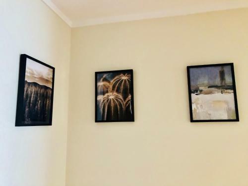 Apartamento Cavalo Marinho