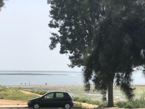 Apartamento Cavalo Marinho