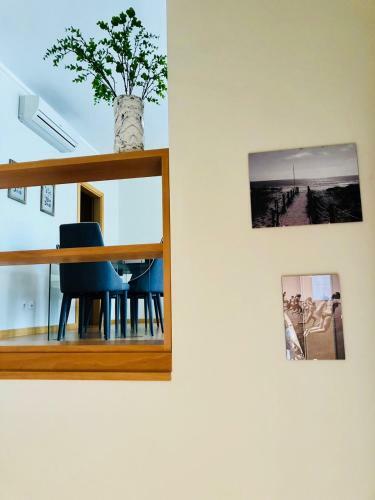 Apartamento Cavalo Marinho