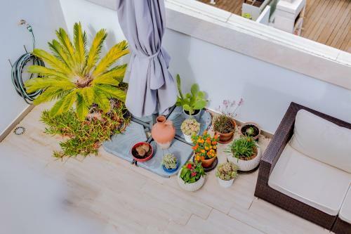 Apartamento Sea Balconies