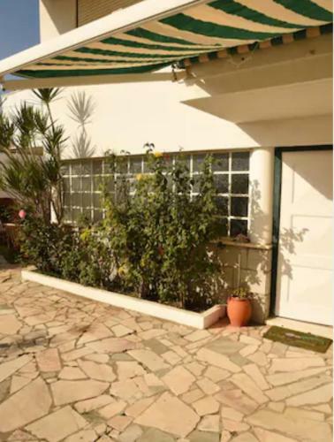 2 Bedroom Apartment House - Sol Do Murtal
