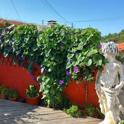 Bed & Breakfast Tipping Point North Beach Nazare