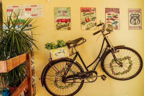 Hostal Paz & Amor Guest House - Peace & Love