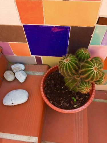 Apartamento Vila Fidalgo