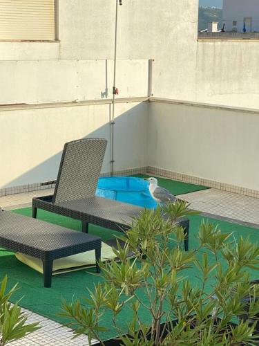 Apartamento Sunset House / Casa Por Do Sol