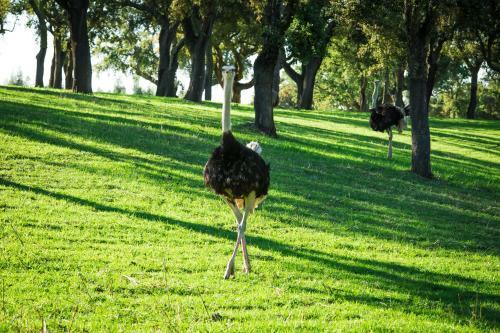 Agroturismo Monte Do Lago, Peg�es