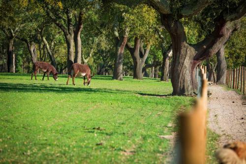 Agroturismo Monte Do Lago, Peg�es