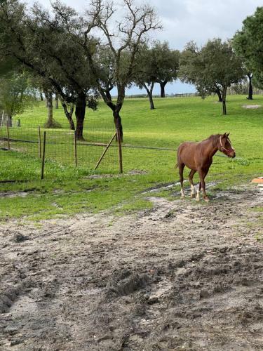Agroturismo Monte Do Lago, Peg�es