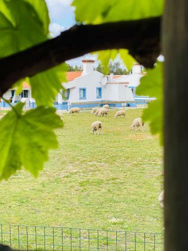 Agroturismo Monte Do Lago, Peg�es