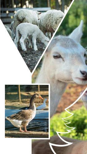 Agroturismo Monte Do Lago, Peg�es