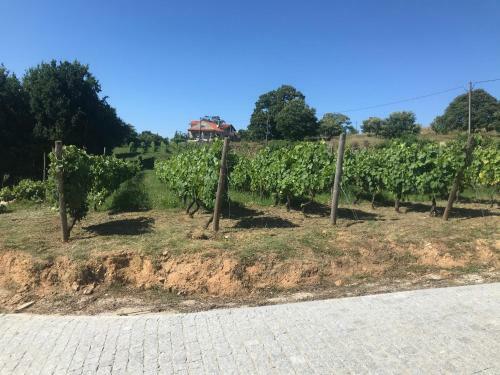 Agroturismo Quinta Casa Do Retiro