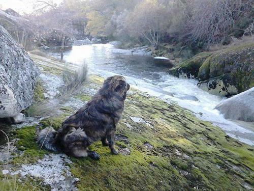 Salto Do Lobo