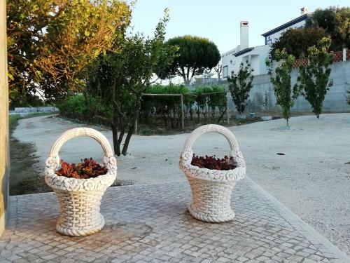 Agroturismo Casa Agr�cola Dos Av�s