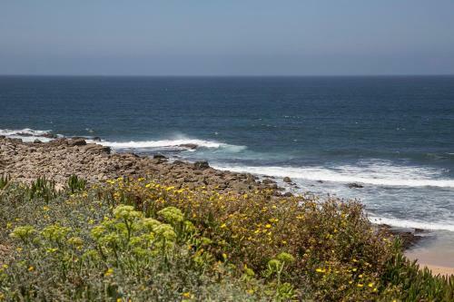 Vista Espantosa Sobre Os Supertubos, Peniche