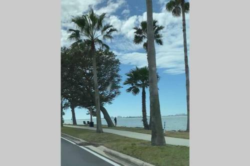 Casa Aqua, Wifi, Beaches, Dunedin, Blue Jays Stdm