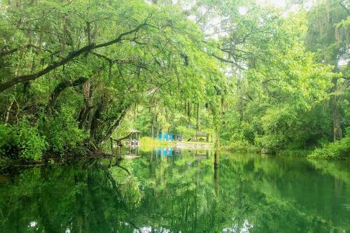 Modern Gem With Private Kayak Dock On Rainbow River!