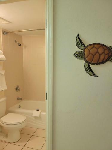 Apartamento A Happy Seashell Story