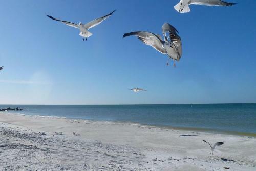 Sea Shell 24 -charming Townhome Near The Beach With Pool And Bbq