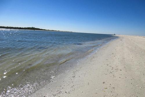 Castle Beach 302 By Kathy Nesbit Vacations