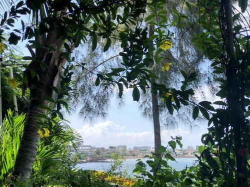 Bed & Breakfast Hoster�a Ecol�gica El Faro