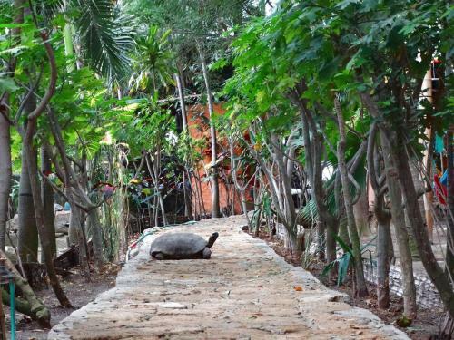 Bed & Breakfast Hoster�a Ecol�gica El Faro