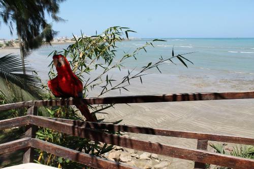 Bed & Breakfast Hoster�a Ecol�gica El Faro