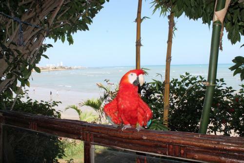 Bed & Breakfast Hoster�a Ecol�gica El Faro