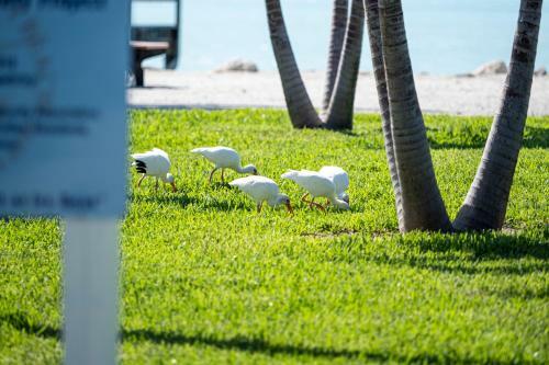 Newly Renovated 3br2ba Duplex With Private Dock