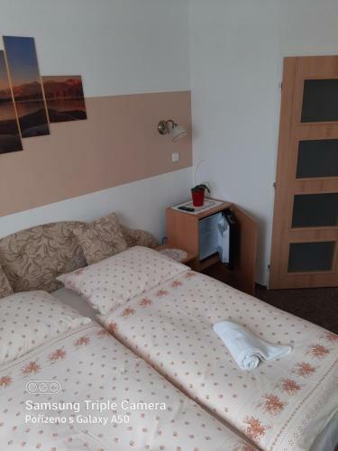 Hotel Vag�nka