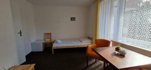 Hotel Svratka