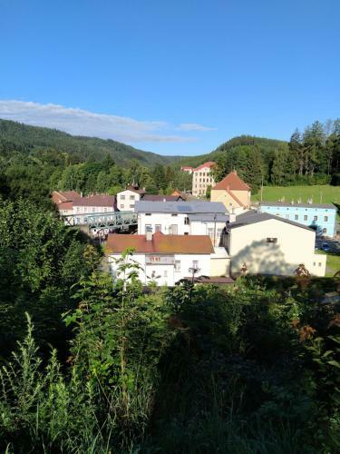 Hostal Hotel Koruna Penzion