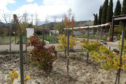 Apartamento Centro De Agroecologia Y Medio Ambiente De Murcia