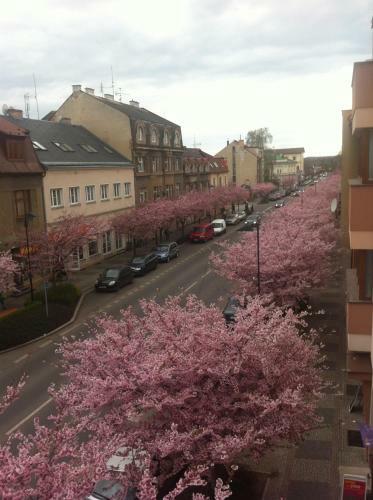 Apartm�n Turnov - ?esk� R�j