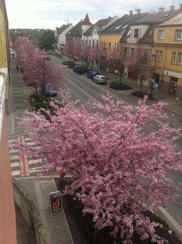 Apartm�n Turnov - ?esk� R�j