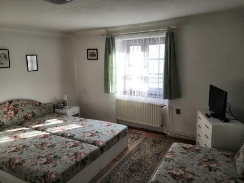 Hostal Apartm�ny V Centru U Moravc?