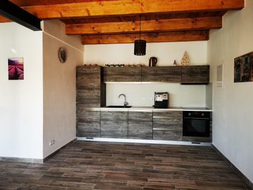 Apartm�ny Velk� Pavlovice