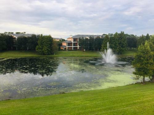 Beautiful 3 Bedroom Apartment Minutes From Disney!