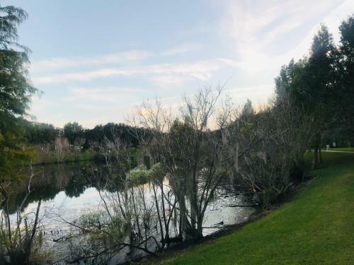 Beautiful 3 Bedroom Apartment Minutes From Disney!