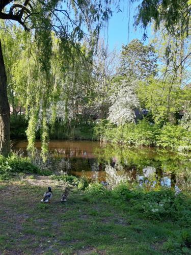Apartamento Ferienwohnung Julia