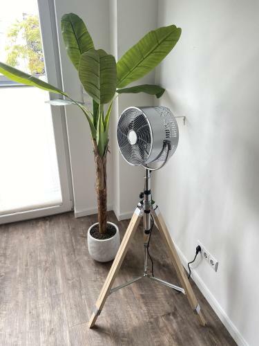 Apartamento Ferienwohnung Ankerplatz