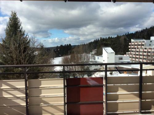 Wellness Apartment Sankt Englmar