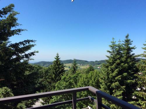 Wellness Apartment Sankt Englmar