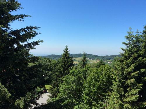 Wellness Apartment Sankt Englmar