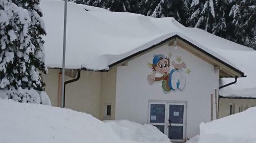 Graf's Apartment Sankt Englmar