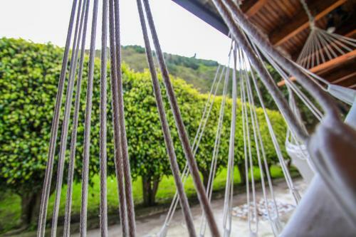 Great Hostels Backpackers