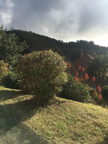 Bungalows Do Amparo
