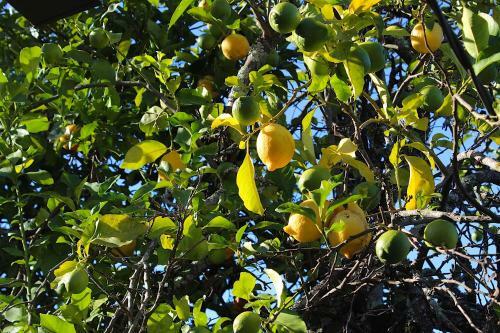 Recanto Tia S�o Magalh�es