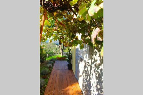 Recanto Tia S�o Magalh�es