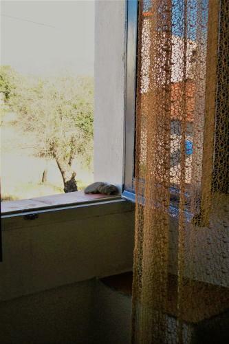 Casa Da Andorinha